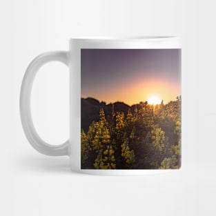 Sunlight shining through lupine Mug